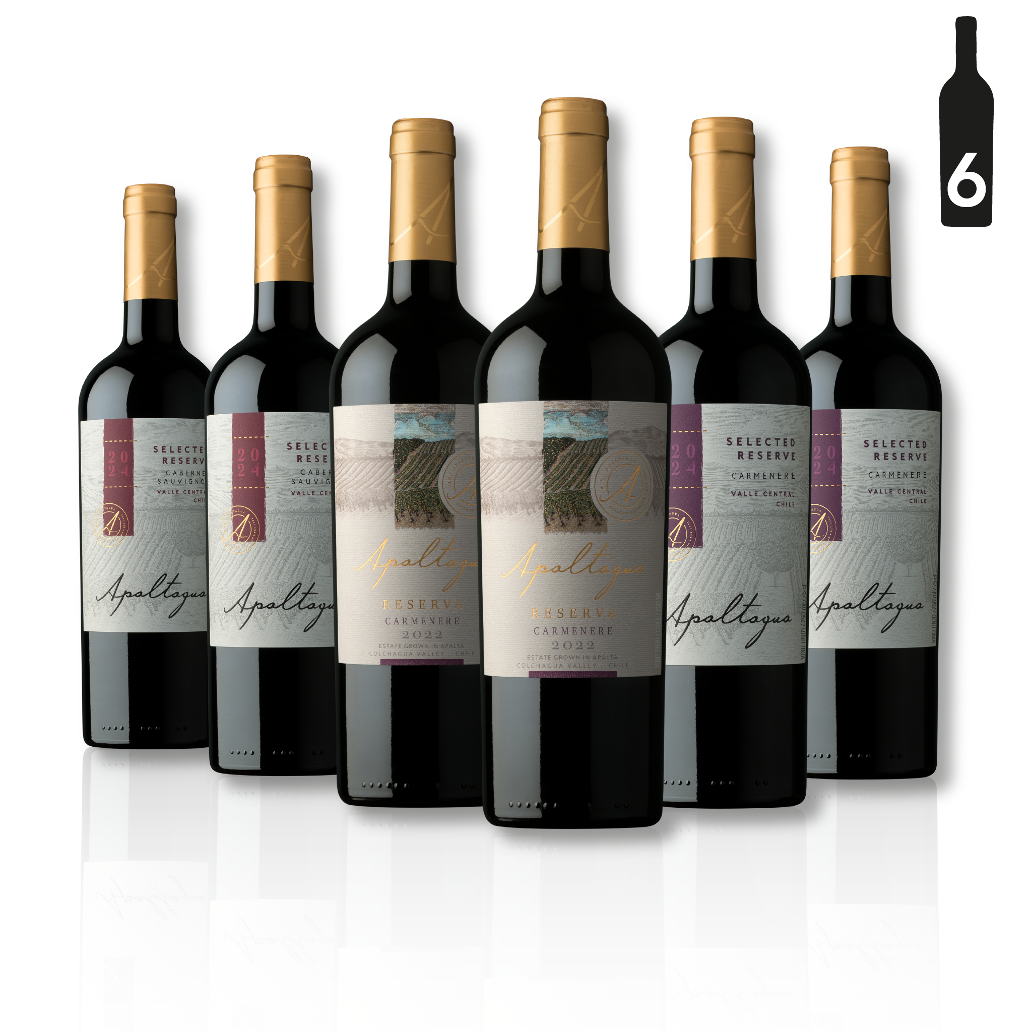 Mix Exploración Apaltagua – 6 botellas