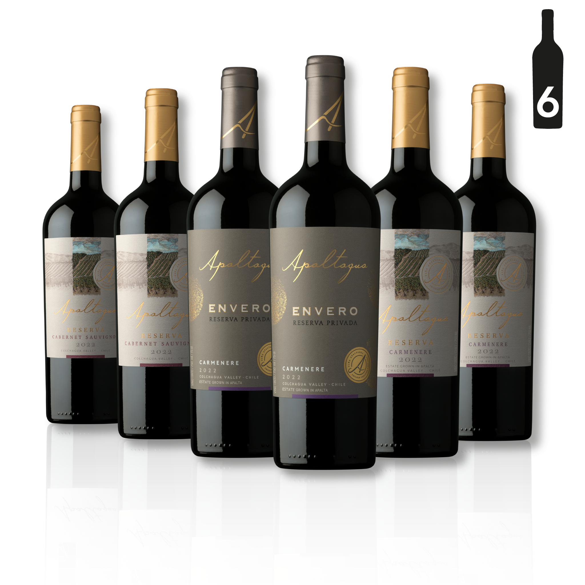 Mix Degustación Apaltagua – 6 botellas